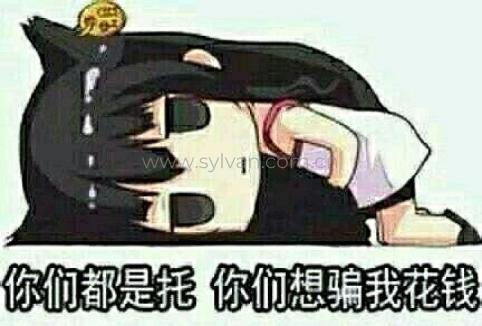 骗我花钱